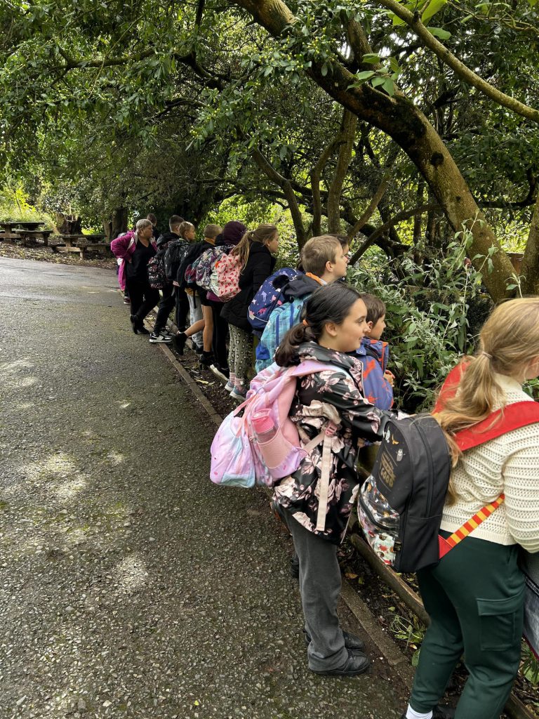 Class 4 Trip to Paignton Zoo
